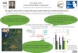 Soil organic carbon stocks in tropical soil systems under ... · Soil organic carbon stocks in tropical soil systems under rainforests controlled by geochemistry Mario Reichenbach