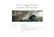 Survey And Evaluation Of Masonry Arch Bridges · The rough quarried stone was then generally carried to the site to be cut before the stones were set. After the masonry abutments