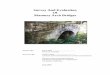 Survey And Evaluation Of Masonry Arch Bridgeswebsite.dot.ca.gov/env/cultural/docs/masonry-arch-bridges-2003.pdf · The rough quarried stone was then generally carried to the site