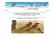 Botswana & Namibia: Birds and Other Wildlife · The Mendocino Coast Audubon Society (MCAS) invites all those interested in Southern African wild life to a Gala Evening at the Gualala