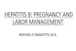 HEPATITIS B: PREGNANCY AND LABOR MANAGEMENTsteamboatperinatalconference.com/wp-content/... · Hepatitis B core antigen (HBcAg) • Pre-core protein cleaved in the endoplasmic reticulum
