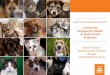 Community Engagement Based Animal Control Programs · • 2011 shelter-neuter-return • 2013 community cat program • 2015 RTO-F • 2016 Zip Code Reload • 2016 microchipping