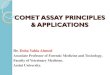 COMET ASSAY PRINCIPLES & APPLICATIONS Comet...Comet assay is ideal for investigating nutrient or micronutrient effects at the level of DNA damage in humans. Measuring DNA Repair Comet