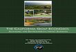 THE CALIFORNIA GOLF ECONOMY - PGA Magazinepgamagazine.com › wp-content › media › 2013 › 05 › Calif.-Study... · 2014-04-21 · Size and Impact of California’s Golf Economy,