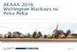 REAAA 2016 Wellington Mackays to Peka Peka...Wellington Northern Corridor How we fit in Otaki to Levin improvements Peka Peka to Otaki MacKays to Peka Peka Transmission Gully Ngauranga