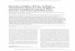 Kissing complex RNAs mediate interaction between the ...genesdev.cshlp.org/content/19/8/903.full.pdf · Kissing complex RNAs mediate interaction between the Fragile-X mental retardation