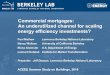 Commercial mortgages: An underutilized channel …...Commercial mortgages: An underutilized channel for scaling energy efficiency investments? Paul Mathew Lawrence Berkeley National