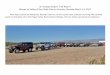 St. George Jeepers Trail Report Moapa to Valley of Fire State … · 2017-03-23 · St. George Jeepers Trail Report Moapa to Valley of Fire State Park to Overton, Nevada-March 14,