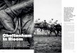 Cheltenham In Bloom · to Prestbury Park in 1831, though economic ALAN CROWHURST/GETTY IMAGES (4), CODY GLENN/GETTY IMAGES (2) depression led to the demise of Cheltenham flat racing