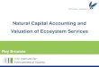 Natural Capital Accounting and Valuation of Ecosystem Services · Natural Capital Accounting and ... - Monetary or nonmonetary quantification of ecosystem services - Definition of