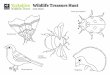 Wildlife Treasure Hunt › media › Default... · likely to find that kind of creature in the wild! Remember, your wildlife treasure hunt should end with the butterfly! Herald Moth