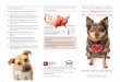 Heartworm disease is found in What You Need to …...that still does not mean your dog is 100% in the clear. Some stages of heartworm infection may not be detected on a heartworm test