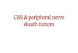 CNS & peripheral nerve sheath tumors - كلية الطب€¦ · CNS & peripheral nerve sheath tumors . CNS tumors, in general •More than half of the cases are: 1ry ... peripheral