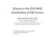 Gliomas in the 2016 WHO Classification of CNS Tumors › wp-content › uploads › 2017 › 09 › Gliomas... · Gliomas in the 2016 WHO Classification of CNS Tumors Hindi N Al-Hindi,