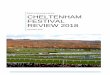 CHELTENHAM FESTIVAL REVIEW 2018 - British Horseracing Board · The Review Group has considered a wide range of quantitative statistical data, along with extensive qualitative feedback