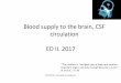 Blood supply to the brain, CSF circulation · supplying the brain Subclavian steal syndrome (SSS) Classically, SSS is a consequence of a redundancy in the circulation of the brainand