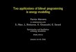 Two applications of bilevel programming in energy modellinghelper.ipam.ucla.edu/publications/enec2016/enec2016_12631.pdf · Two applications of bilevel programming in energy modelling