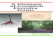 A Glossary of Common Forestry TermsA Glossary of Common Forestry Terms 7 chip-n-saw A process, normally with conifers, where small logs are cut in such a way that the outside of the