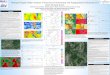 Multiple Doppler Radar Analysis of External Environmental ... · Multiple Doppler Radar Analysis of External Environmental and Topographical Influences on a QLCS Tornado Event Anthony