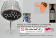 Institute of Analytical Chemistry and Food Chemistry HO O · Institute of Analytical Chemistry and Food Chemistry 11 Erich Leitner 2.5.2017 Wine Analysis Odour of Mixtures „For