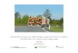 Rapport - Klassifisering av offentlig vegnett i Norge …...4 Tømmerbil uten tilhenger (tillatt vogntoglengde 12,4 eller 15,0 m) Bruksklasse Tillatt totalvekt Bilens egenvekt Nyttelast,