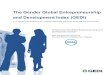 The Gender Global Entrepreneurship and Development Index (GEDI) · 2020-05-20 · Global Entrepreneurship and Development Index (GEDI)2 ranking, which does not differentiate between