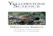The Language of Heaven and Hell Changing Values at Fishing ... › publications › yell › newsletters › yellowstone-s… · The use of religious terminology to describe Yellowstone