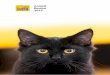 Annual Review 2019 - cats.org.uk · 10 Reducing overpopulation of cats 14 Finding good homes for cats 18 Increasing awareness of our work Our impact 21 Public benefit 24 Helping cat