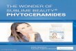 PHYTOCERAMIDES – ARE THEY THE NEW WHAT ARE … › SublimeBeauty › REPORT+PHYTOCERA… · Phytoceramides on the market, and even bovine Phytoceramides. But the clear performer