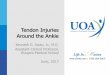 Tendon Injuries Around the Ankle - NJ Orthopedic Surgeons ... · Tendon Injuries Around the Ankle Kenneth G. Swan, Jr., M.D. Assistant Clinical Professor, Rutgers Medical School June,
