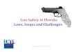 Gun Safety in Florida: Laws, Issues and Challenges€¦ · Licensed firearm dealers are required to run background checks—BUT • Private sellers at gun shows are NOT required to