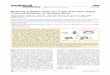 Monitoring of Heparin Activity in Live Rats Using …weilab.nju.edu.cn › pub › 59.pdfMonitoring of Heparin Activity in Live Rats Using Metal−Organic Framework Nanosheets as Peroxidase