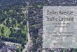 Dallas Avenue Traffic Calming - Dallas Avenue Traffic Calming Department of Mobility and Infrastructure