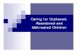 Caring for Orphaned, Abandoned and Maltreated Children › sites › default › files... · Caring for Orphaned, Abandoned and ... Charles A. Nelson (Harvard Medical School) 