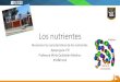 Los nutrientes - colegio-mineralelteniente.cl · Los nutrientes Reconocer las características de los nutrientes. Apoyo guía n°8 Profesora Mirta Quilodrán Medina. 8°AÑO A-B