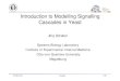 Introduction to Modelling Signalling Cascades in Yeastemilie/icysb/wp-content/uploads/2011... · Introduction to Modelling Signalling Cascades in Yeast Jörg Schaber Systems Biology