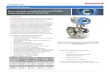 SmartLine - Honeywell 2020-01-30¢  SmartLine Informaci£³n t£©cnica Nivel montado en brida SmartLine