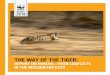 THE WAY OF THE TIGER - WWF · The Way of the Tiger: Report on Human—Tiger Conflicts in the Russian Far East. Alexey Kostyria, Pavel Fomenko, Vasily Solkin, Femke Hilderink. 2018