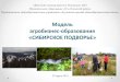 Модель агробизнес образования «СИБИРСКОЕ ...center-prof38.ru/sites/default/files/one_click/...Образовательные программы,