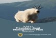 Idaho Mountain Goat Management PlanIdaho Mountain Goat Management Plan are formed when kids are approximately 2 weeks old. During this period, 2-year-old billies usually leave nursery