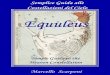 Costellazioni del Cielo Equuleus guides... · costellazioni descritte da Tolomeo nel suo libro “Amagesto” del 150 d.C. Essa rappresenta il puledro che Hermes (il dio Mercurio)