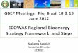 ECOWAS Regional Bioenergy Strategy Framework and Steps · 2012-06-27 · ECOWAS Regional Bioenergy GBEP Meetings: Rio, Brazil 18 & 19 June 2012 Strategy Framework and Steps By Mahama