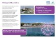 Millport Charrettenorthayrshire.community › wp-content › uploads › 2018 › 05 › ... · 2018-05-01 · Millport Vision MILLPORT & CUMBRAE 2025 VISION ‘In ten years the Isle
