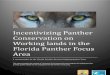 Incentivizing Panther Conservation on Working lands in the Florida Panthe · PDF file Incentivizing Panther Conservation on Working lands in the Florida Panther Focus Area A concept