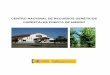 CNRGF Puerta de Hierro versión web › es › desarrollo-rural › temas › politica-fore… · El Centro Nacional de Recursos Genéticos Forestales Puerta de Hierro está especializado