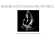 Bedside Echo to Assess Volume Status - Denver, Colorado · Bedside Echo to Assess Volume Status Jessica Nelson, MD and Jason Brainard, MD “What’s the patients volume status?”