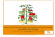 Toronto Community Housing Community Garden Strategy · 2015-11-04 · Toronto Community Food Animators support residents and staff in building partnerships that are a benefit to both