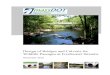 Design of Bridges and Culverts for Wildlife …...Design of Bridges and Culverts for Wildlife Passage at Freshwater Streams December2010 TheCommonwealthofMassachusetts DevalL.Patrick,Govenor