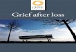 Grief after loss - loss and grief support-Grief 023 Grief after loss_L¢  you about your loss, the grief