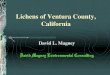 Lichens of Ventura County, California...17 January 2015 Magney -Lichens of Ventura County - CNPS 2015 2 Project Purpose Catalogue all lichen taxa present, past and present, occurring